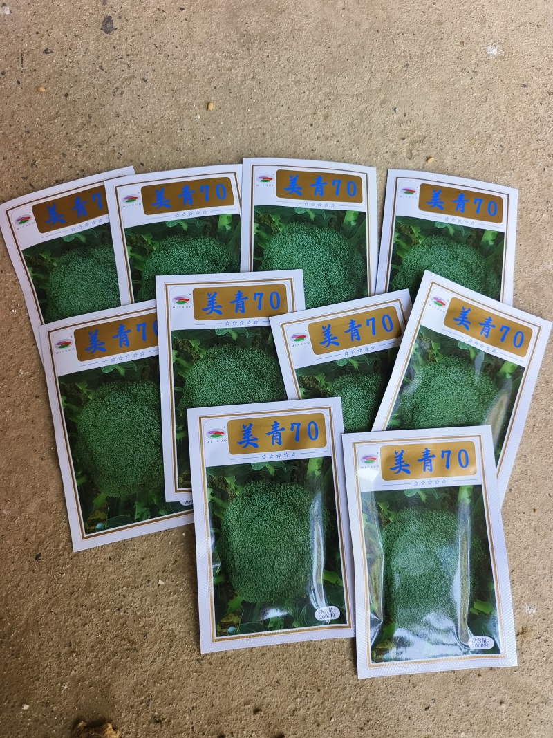 美青70西兰花种耐寒性强小米粒懒汉式管理，无需打岔产量高