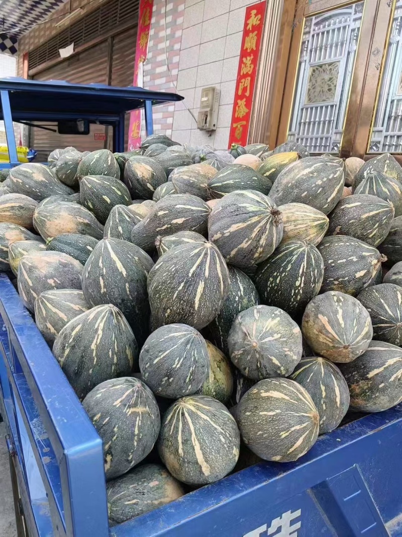 韶关香芋南瓜