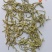 山东