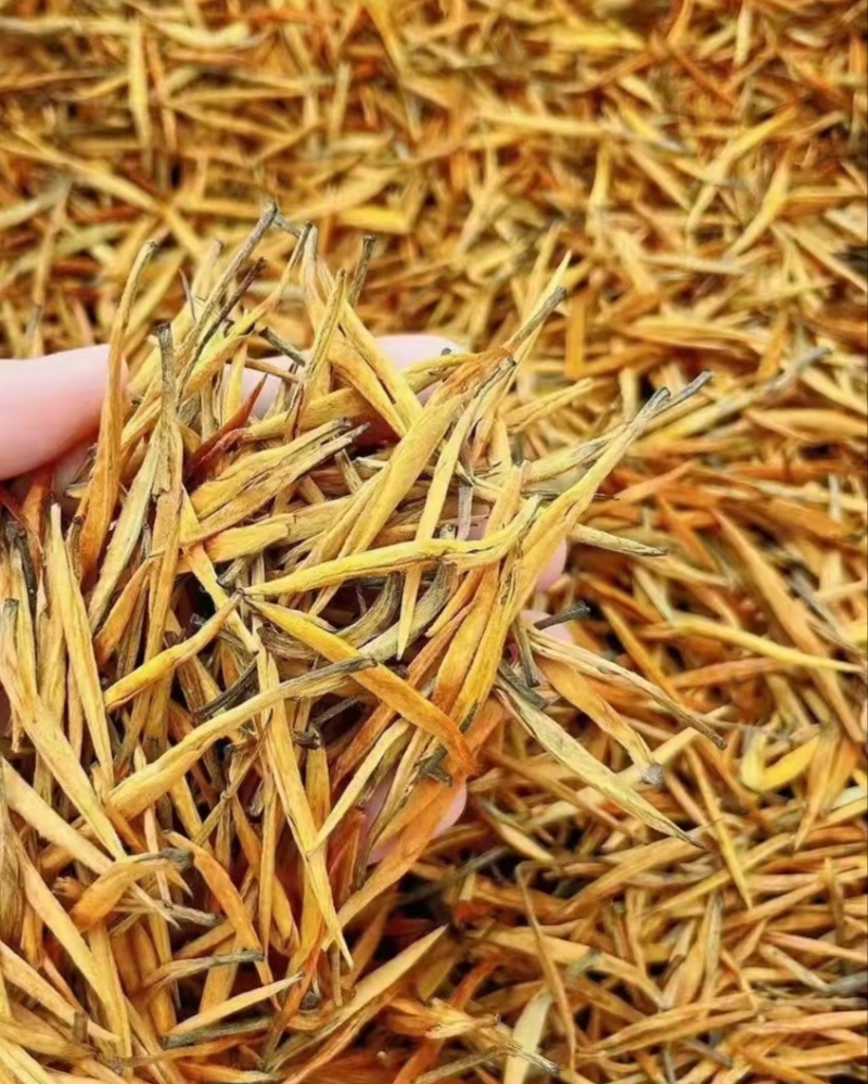 滇红茶产地直供货源充足全国发货