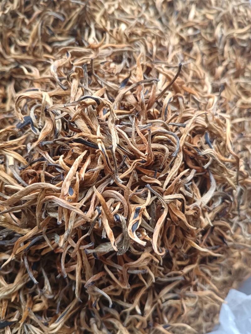 滇红茶产地直供货源充足全国发货