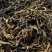 滇红茶产地直供货源充足全国发货