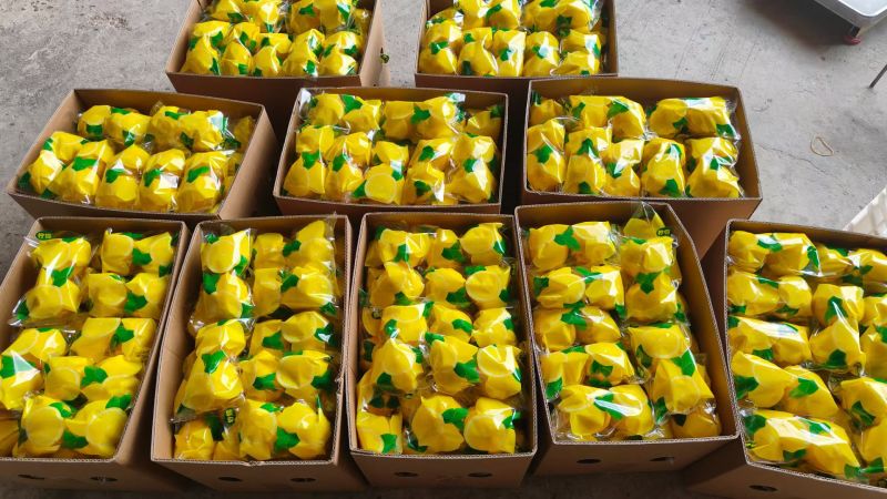 安岳黄柠檬一件代发
