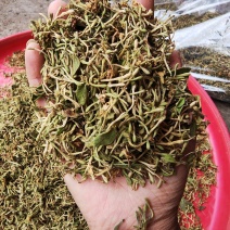 贵州安龙金银花，太阳晒干，无硫，原装好通货，常年有货供应