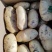 土豆荷兰15土豆产地直供全部一手货源支持视频看货
