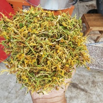 贵州安龙野生金银花统货，生晒无硫，无任何添加，半开花