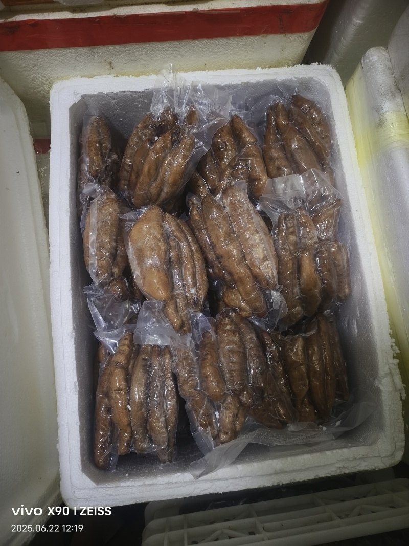 新鲜冷冻茄参富含蛋白质维生素酒店家用海鲜食材批发