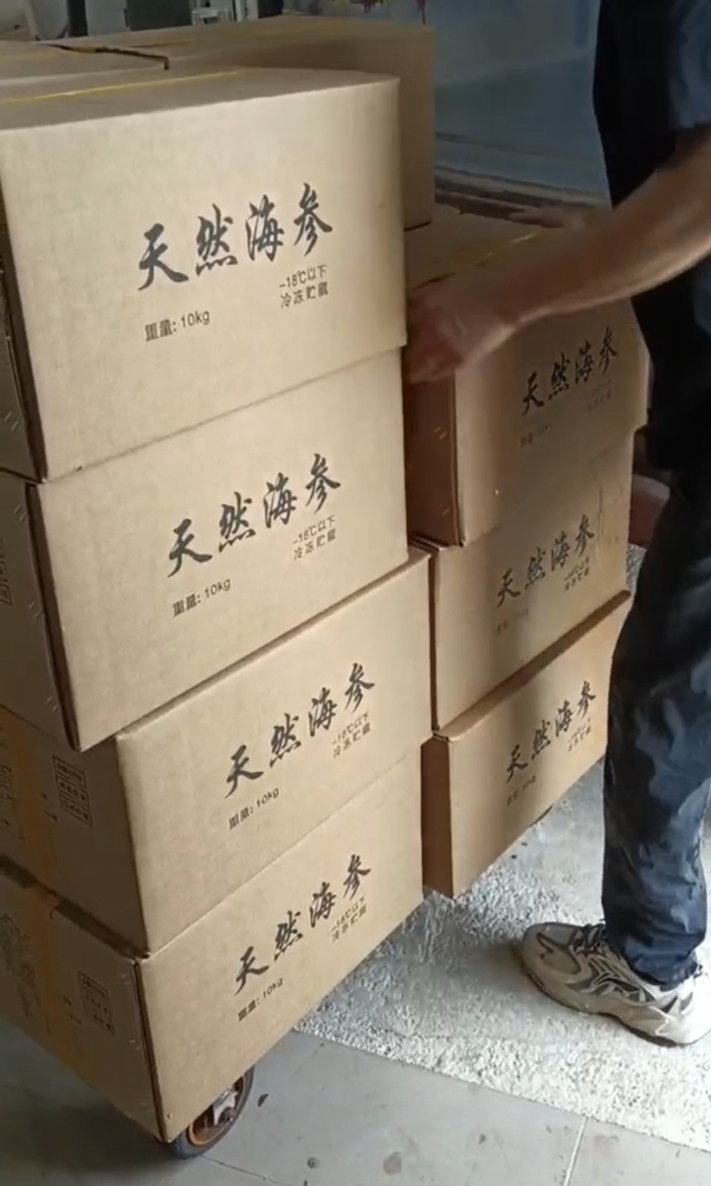 新鲜冷冻茄参富含蛋白质维生素酒店家用海鲜食材批发