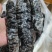 新鲜冷冻乌参深海海参水产冻品泡发率高酒店餐饮