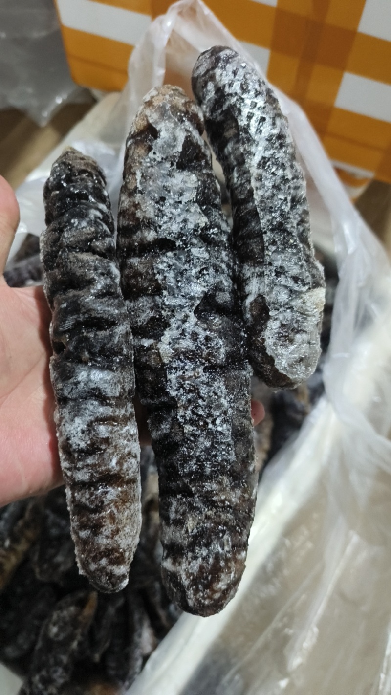 新鲜冷冻乌参深海海参水产冻品泡发率高酒店餐饮