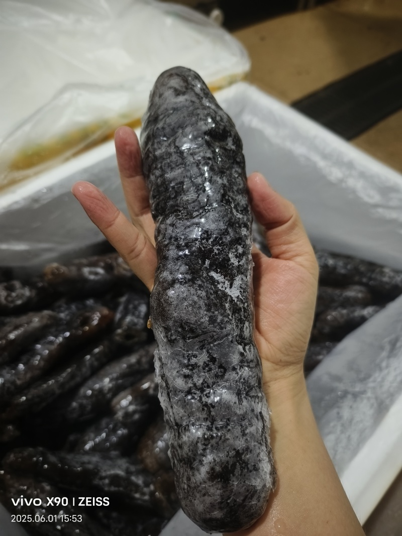 新鲜冷冻乌参深海海参水产冻品泡发率高酒店餐饮