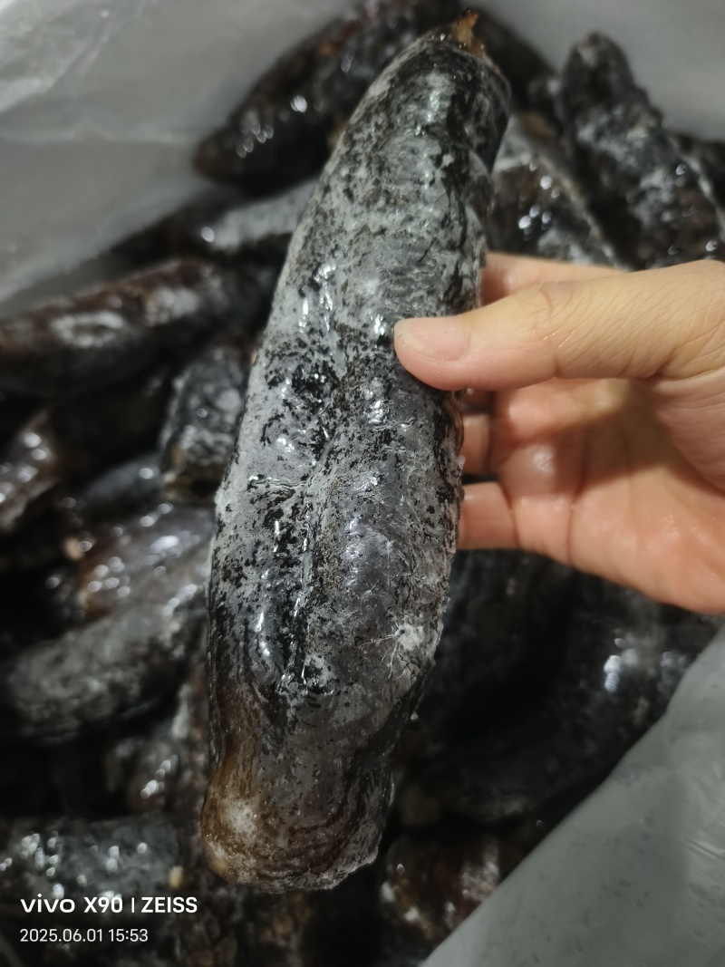 新鲜冷冻乌参深海海参水产冻品泡发率高酒店餐饮