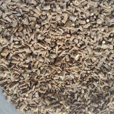 《柴胡》藏柴胡甘肃柴胡买好药尽在聚源中药