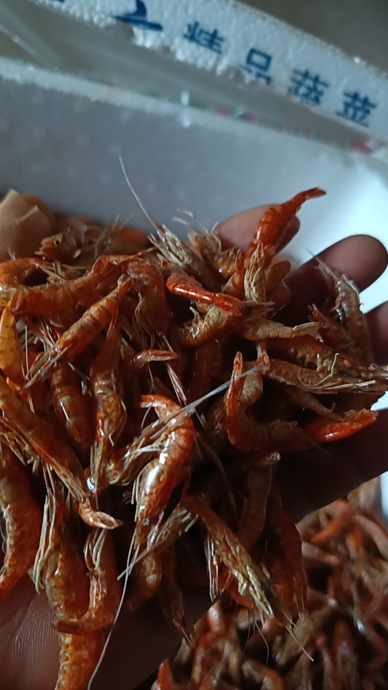 小黄鱼干