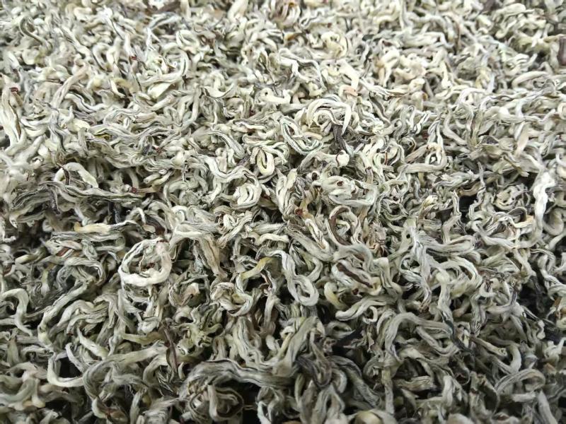 高香雪花绿茶产地直供货真价实全国发货
