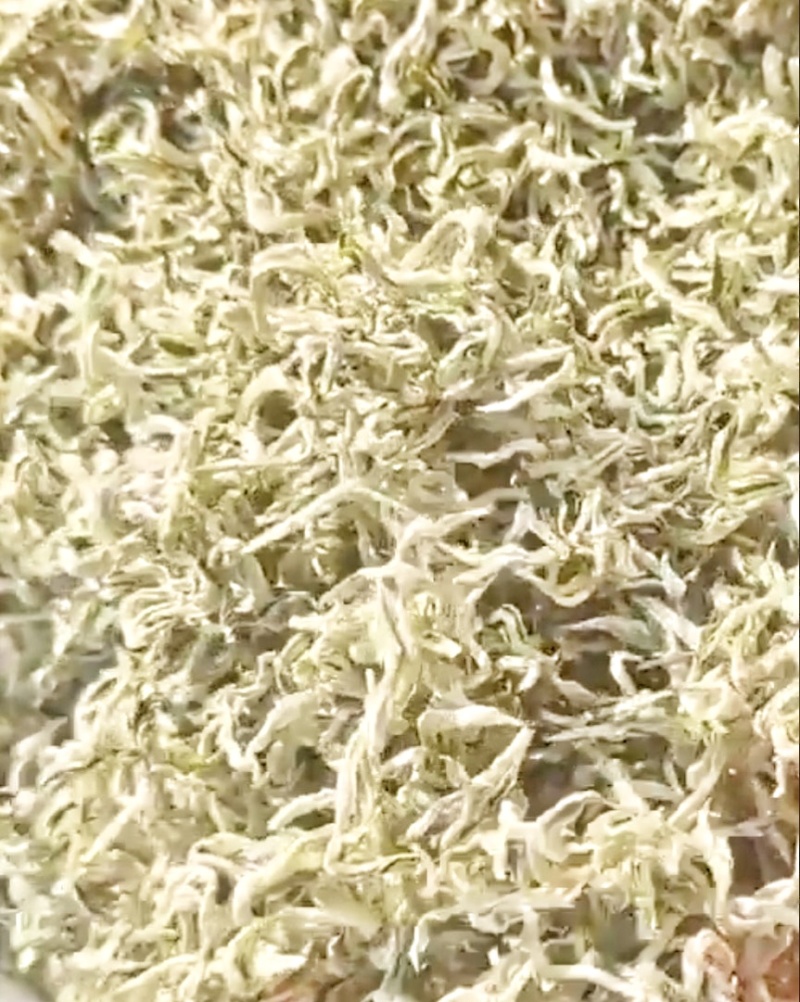 高香雪花绿茶产地直供货真价实全国发货