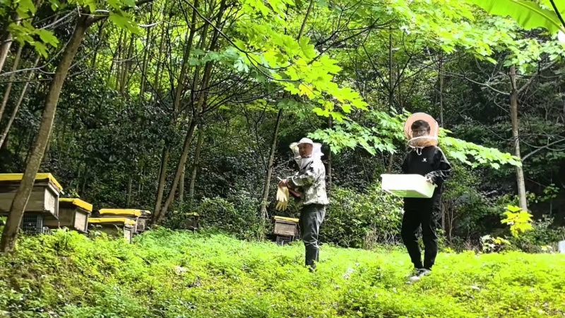 土蜂蜜