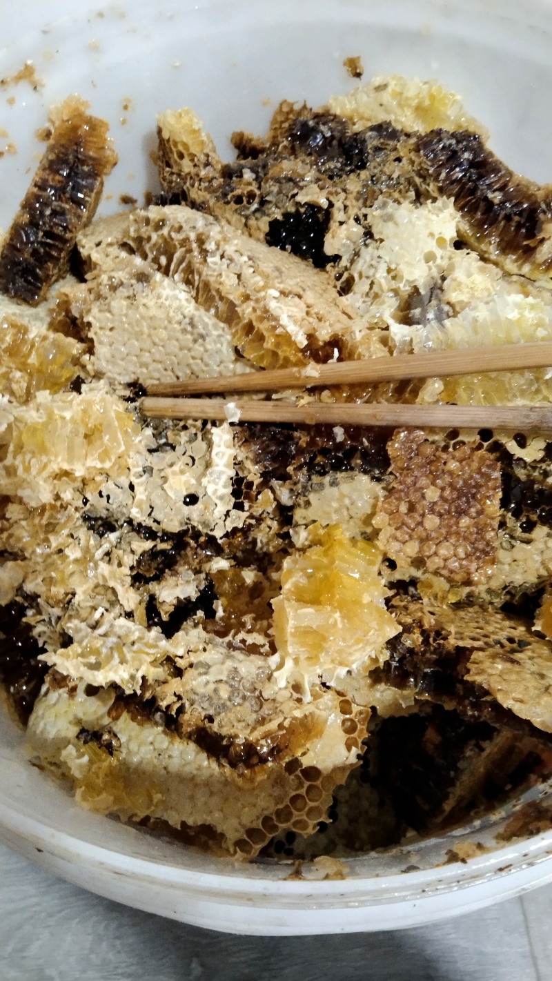 自己养的土蜂蜜