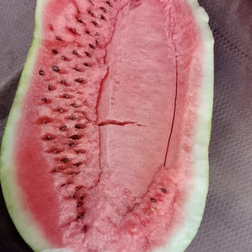 龙卷风西瓜