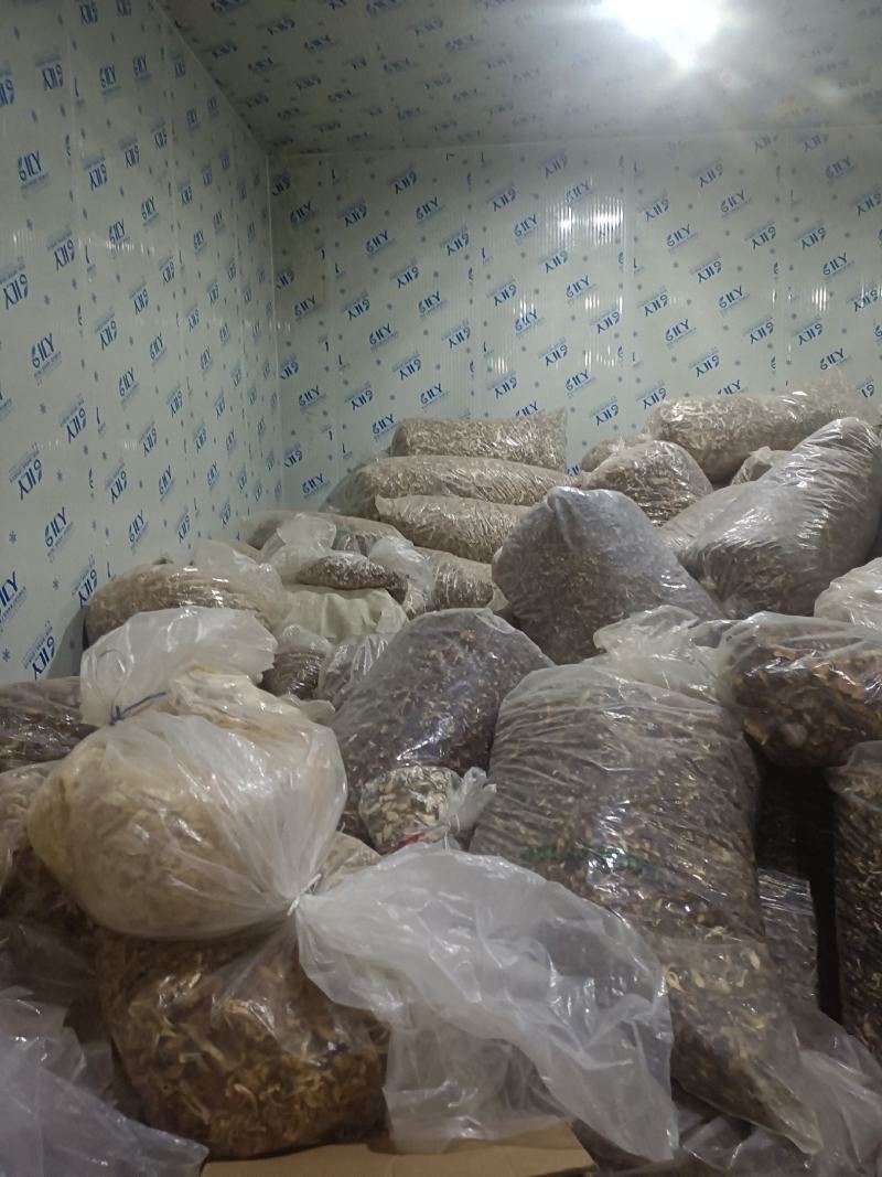 干赤松茸大量现货供应规格齐全品质保证，可视频看货代发全国