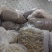 干赤松茸大量现货供应规格齐全品质保证，可视频看货代发全国