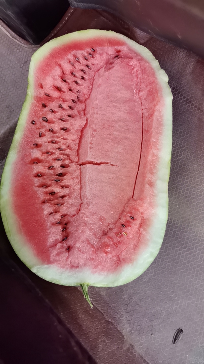 龙卷风西瓜