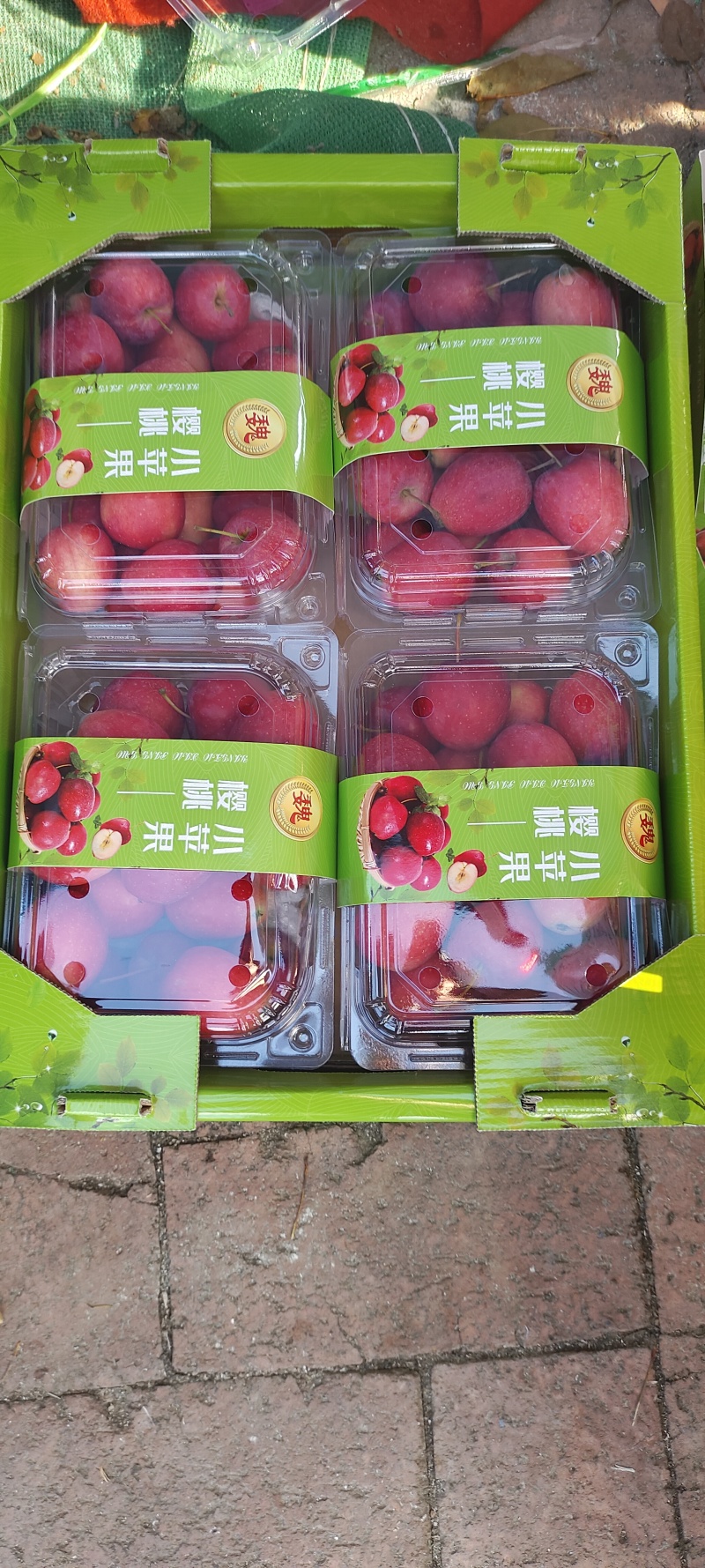 东北特产各种水果可出口，走南方市场需要的可以联系