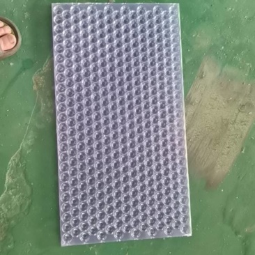 育苗秧盘