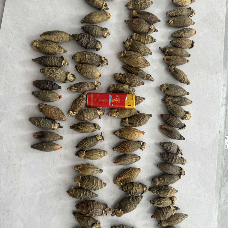 印尼果