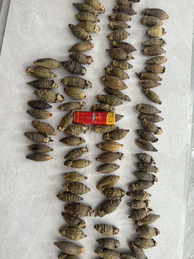 印尼果