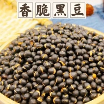 炒黑豆香酥豆子炒熟黑豆即食炒熟小吃炒货坚果