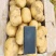 土豆沙漠种植，大量上市，欢迎全国客户前来参观选购