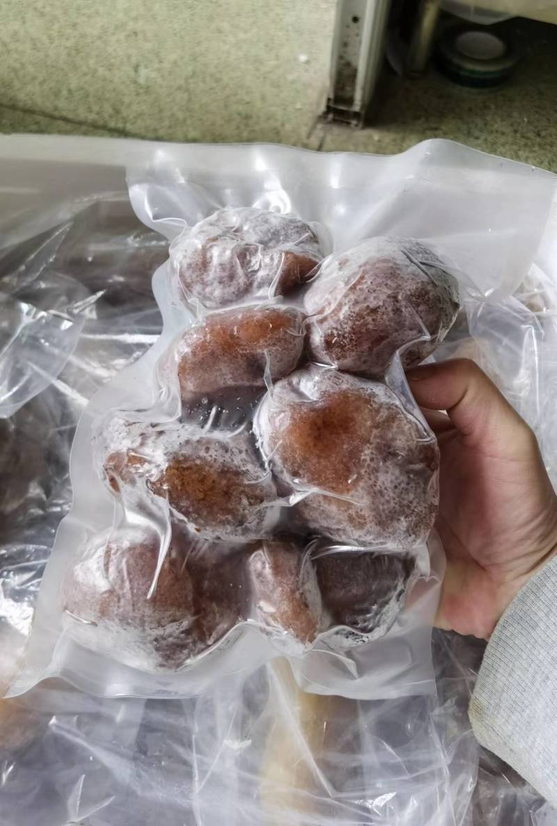批发优质冻品球参源头直供海鲜水产冷冻海参球量大从优
