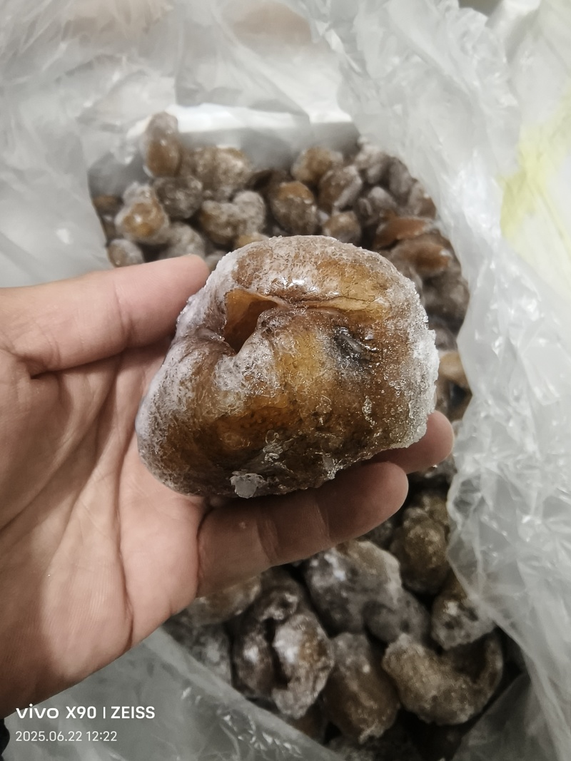 批发优质冻品球参源头直供海鲜水产冷冻海参球量大从优