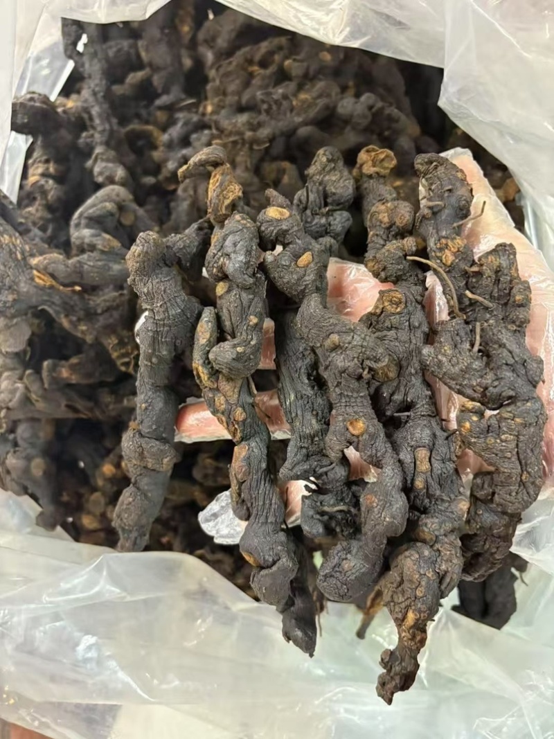九蒸九晒野生黄精60一斤一件货起批