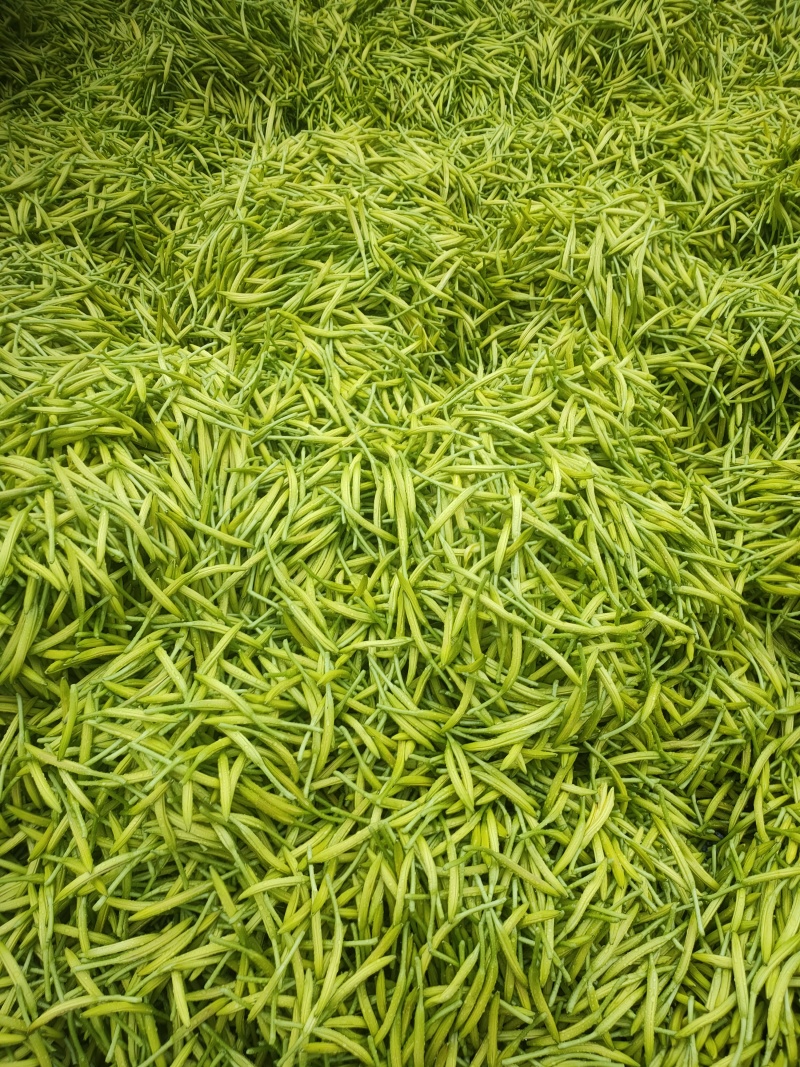 黄花菜产地直销