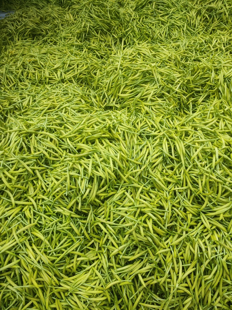 黄花菜产地直销