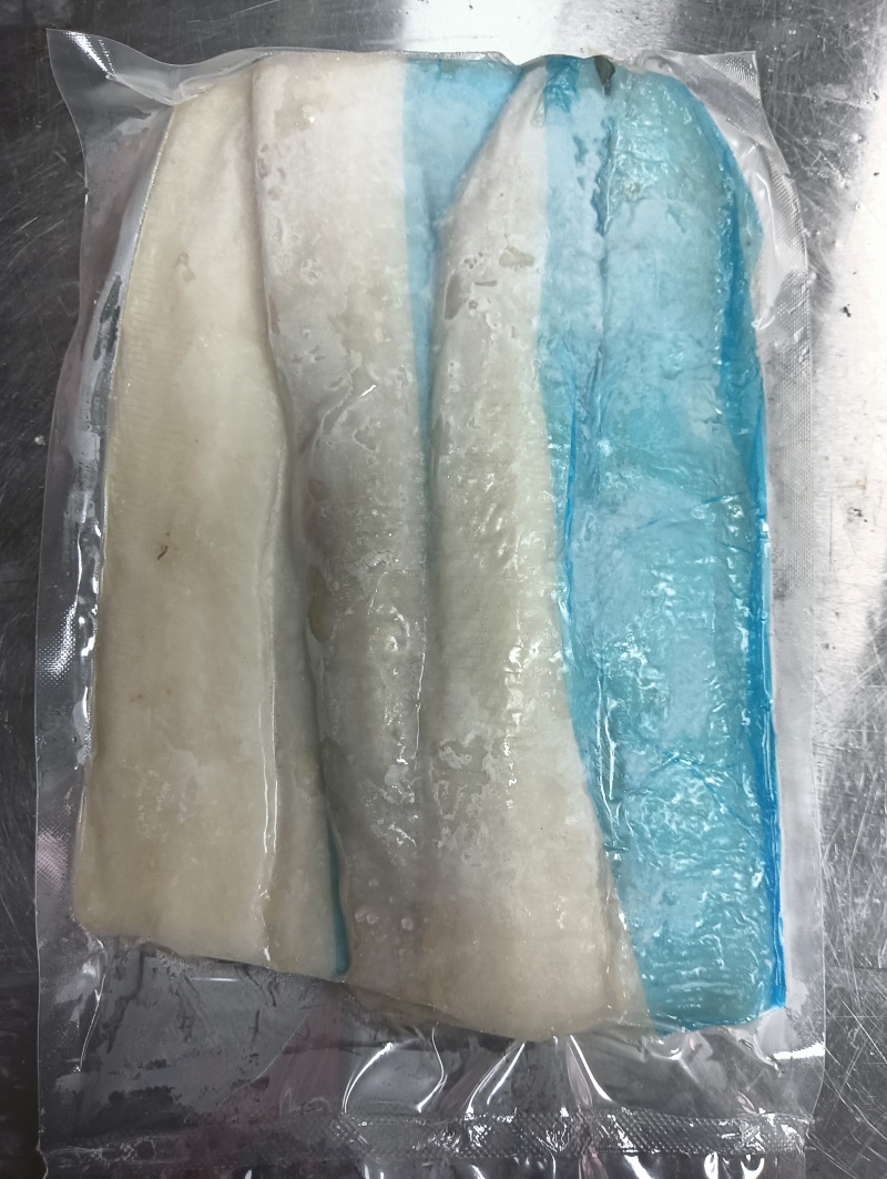 海南鳗鱼