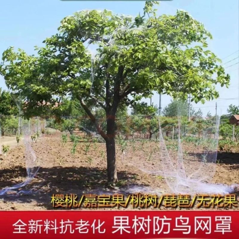防鸟网尼龙加粗大棚果树樱桃专用葡萄稻谷果园养殖鱼塘尼龙网