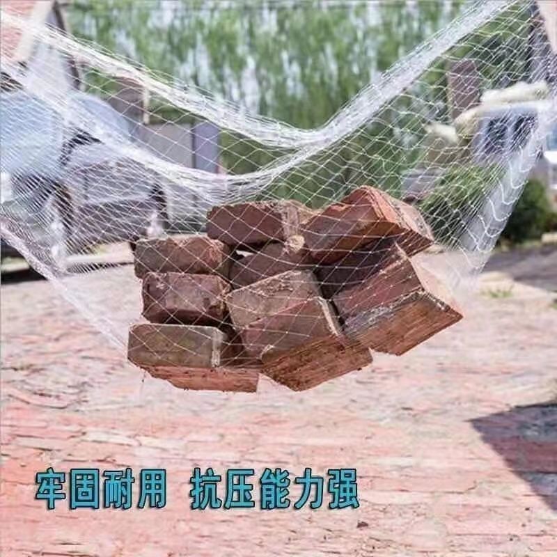 防鸟网尼龙加粗大棚果树樱桃专用葡萄稻谷果园养殖鱼塘尼龙网