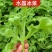 冰菜