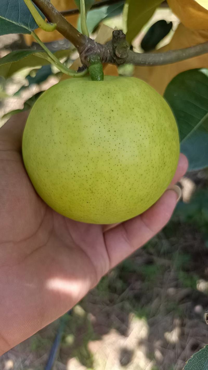 翠玉
