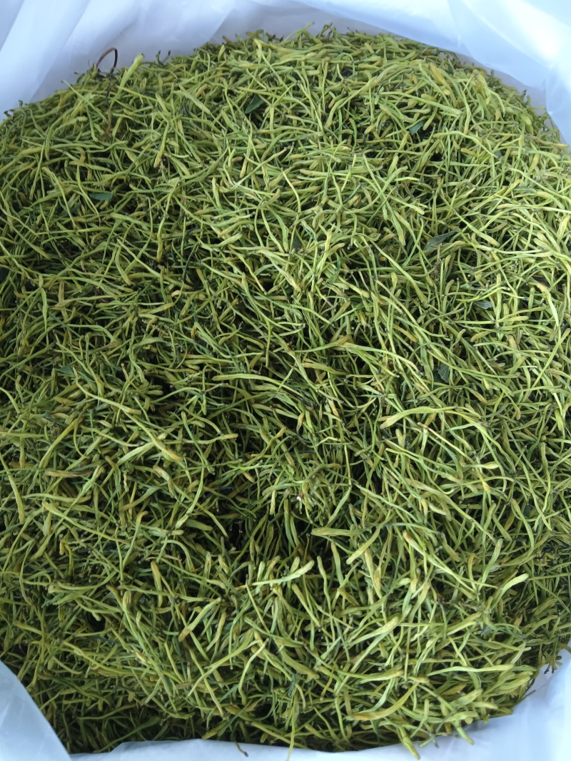 大量出售山银花茶花