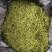 大量出售山银花茶花