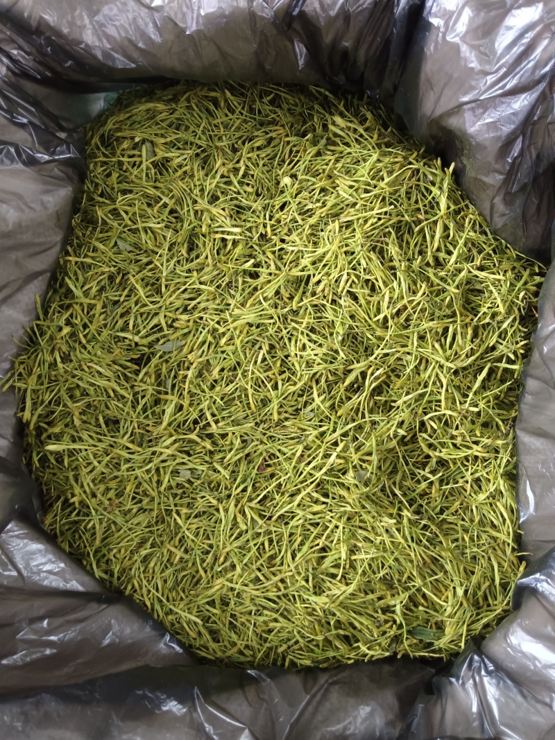 大量出售山银花茶花
