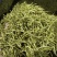 大量出售山银花茶花