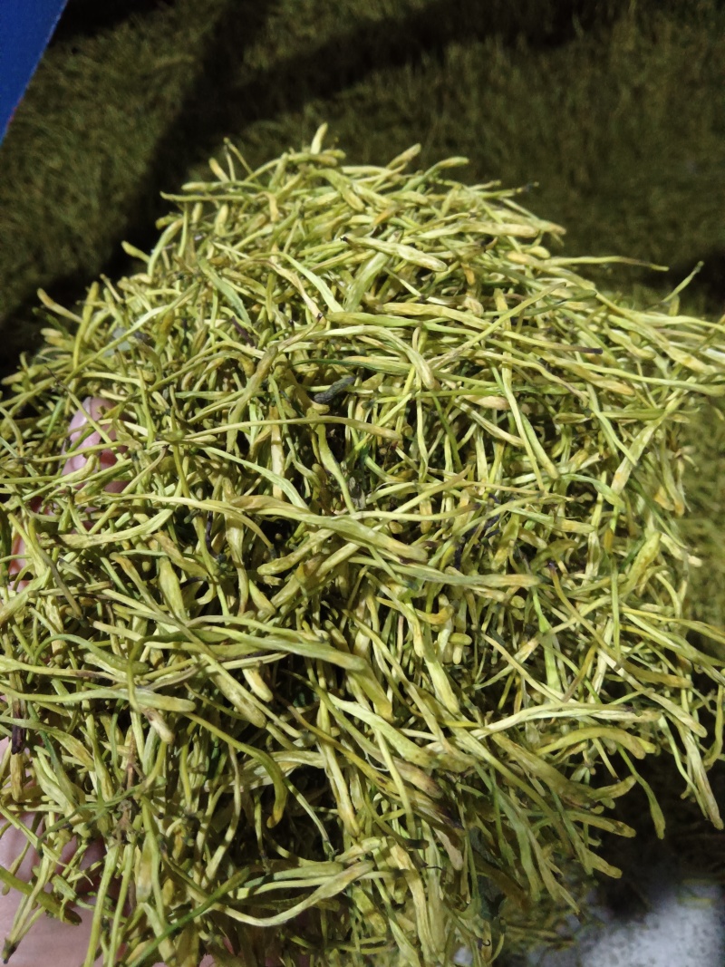 大量出售山银花茶花
