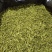 大量出售山银花茶花