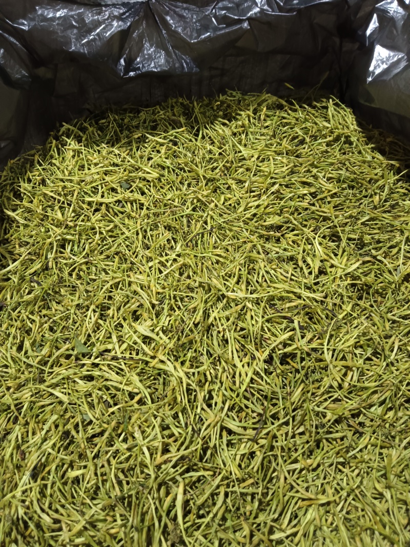 大量出售山银花茶花