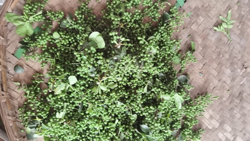 江津九叶干花椒